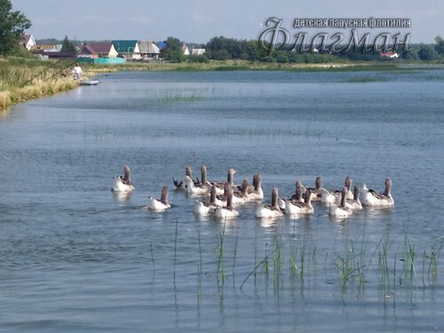 IMG_20240807_151745